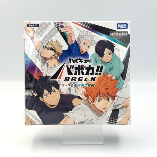 Haikyu!! Volleyball Break