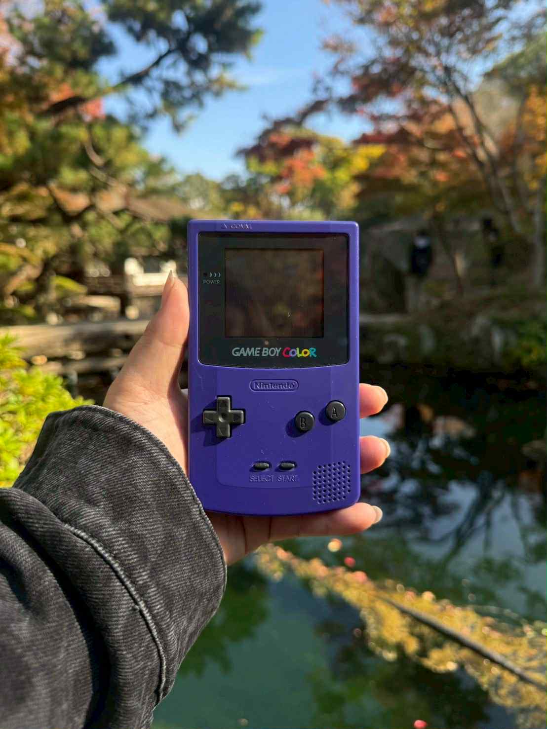 Game Boy Color – Grape Purple